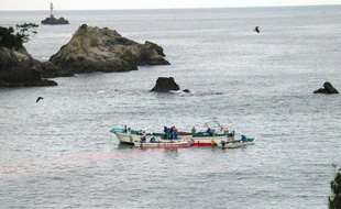Des pêcheurs de dauphins dans la baie de Taiji au Japon.