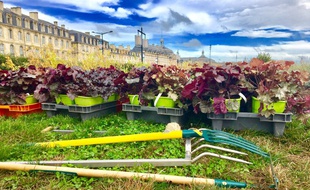 La Ferme de la Glutamine a posé ses valises sur les quais de Bordeaux pour présenter le projet.