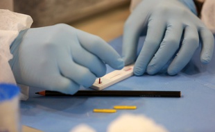 Un test rapide pour détecter le coronavirus (illustration).