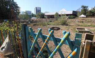 Des jardins familiaux côtoient une exploitation maraîchère professionnelle dans le quartier du Blosne à Rennes.