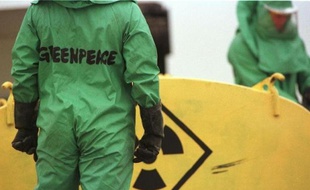 Greenpeace cible sept pesticides accusés de contribuer au déclin des abeilles et demande l'interdiction de ces substances chimiques "largement utilisées en Europe" et dont trois sont déjà dans le collimateur de la Commission européenne, dans un rapport scientifique rendu public mardi.
