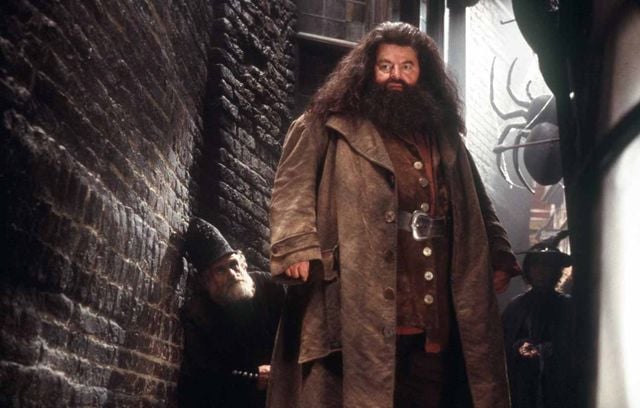… Du gentil géant Hagrid ! Robbie Coltrane regardera tout ça de là-haut, lui qui est décédé en 2022.
