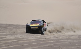 Sebastien Loeb a été contraint à l'abandon.