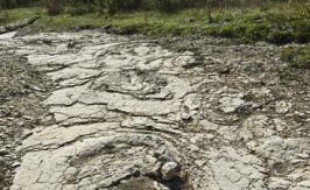 Le site de La Plagne (Ain) où ont été découvertes des empreintes de dinosaures sauropodes.
