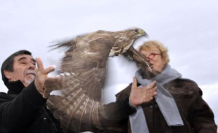 La candidate d'Europe Ecologie-Les Verts à la présidentielle Eva Joly, en déplacement en Auvergne vendredi, a participé au lâcher d'un oiseau et pris leur défense, pour son premier déplacement de la campagne sur le thème de la biodiversité.