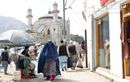 Voix des femmes, sexe… Que contient la loi islamique des talibans ?