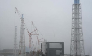 Le ministre japonais de l'Industrie a approuvé jeudi la création d'une structure dédiée au développement des moyens techniques nécessaires pour démanteler les quatre réacteurs saccagés de la centrale accidentée de Fukushima