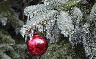 Illustration d'un sapin de Noël.