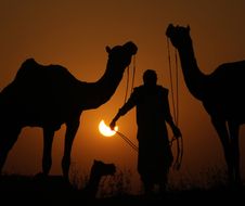 La silhouette d'un éleveur de chameaux devant une éclipse solaire partielle à Pushkar, dans l'État indien occidental du Rajasthan, le mardi 25 octobre 2022.