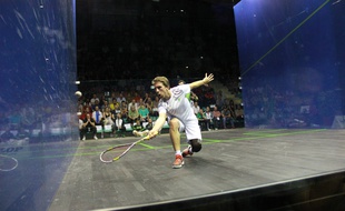 Le squash à l'honneur au Lieu unique jusqu'à dimanche prochain.