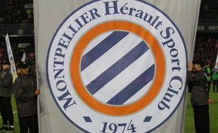 Le logo du MHSC