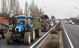 Une manifestation d'agriculteurs sur le périphérique de Toulouse, le 31 janvier 2018.