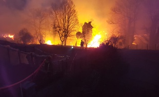 D'importants incendies ont ravagé des centaines d'hectares en Corse, en février 2019