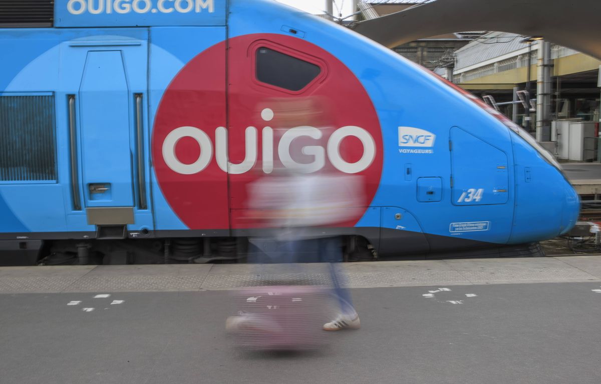 SNCF : TGV Inoui ou Ouigo, Intercités... La billetterie pour les vacances d'hiver ouvre ce mercredi