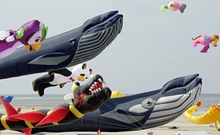 Les 31e Rencontres internationales de cerfs-volants de Berck-sur-Mer.