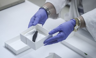 Un parchemin hébraïque de 1.500 ans, dans le laboratoire de conservation de l'Autorité des antiquités israélienne à Jérusalem, le 20 juillet 2015.