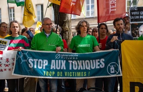 De retour avec la loi Duplomb, l’acétamipride est-il dangereux pour la santé ?