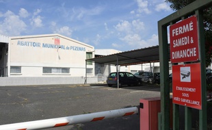 Entrée de l'abattoir municipal de Pézenas (Hérault), dans le collimateur de L214