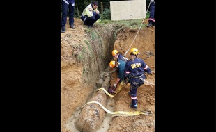 Au terme d'une intervention qui aura duré plus de quatre heures, l'équipe de secouristes est parvenue à sortir le cheval du fossé rempli de boue dans lequel il était tombé.