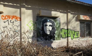Marseille, le 25 janvier 2015, des militants ecologistes se sont installes dans le parc Michel Levy pour empecher sa destruction.