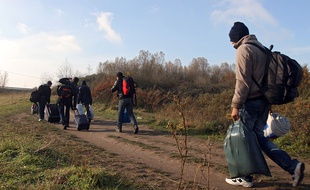 Un camp de migrants a été démantelé à Calais (illustration).