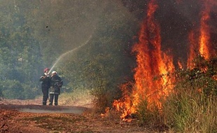 Les pompiers luttent contre un incendie qui a déjà détruit 120 hectares de maquis, près de Banyuls-sur-Mer