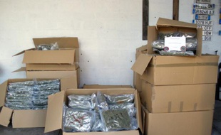 Des sachets de cannabis saisis par les douanes, à Montepellier, le 12 février 2015