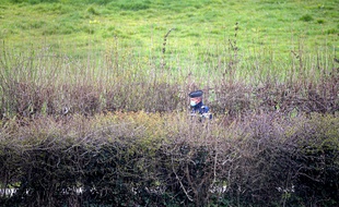 Rumel, le 06 avril 2021. Un gendarme surveille un secteur qui doit faire l'objet de fouilles afin de tenter de retrouver le corps d'Estelle Mouzin, disparue en 2003.