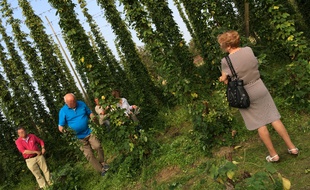 La fête du houblon à la ferme du Beck, à Bailleul