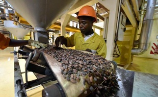 Un employé de la chocolaterie CEMOI à Abidjan le 25 mars 2015