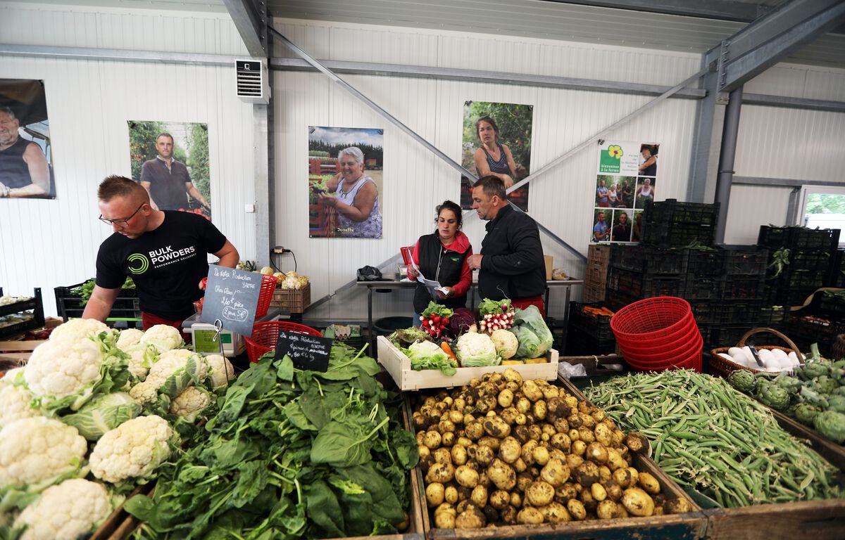 Circuit Court A La Ferme Mots Fleches Consommation : Posez-nous vos questions sur la vente en circuit court