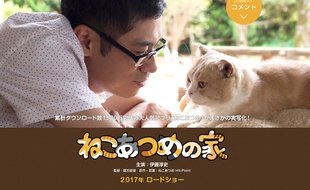 Neko Atsume aura droit à son adaptation cinématographique