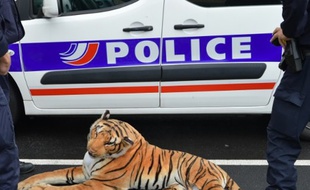Le tigre en peluche capturé par les policiers du Mans