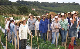 A Noiva do Cordeiro, ce sont les femmes qui commandent. Le coin a l'air sympa, non ?