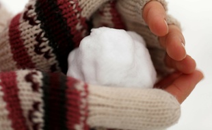 Les victimes s'amusaient à jeter des boules de neige sur les voitures.