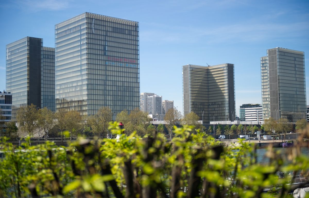 Île-de-France : Il y a 26 millions d'arbres dans la région