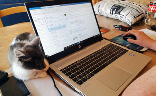 Le retour au télétravail massif ne ferait pas l'unanimité.