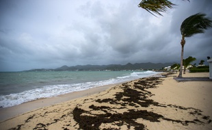 A Saint-Martin, sur la baie de Nettle à Marigot, les signes avant-coureurs de l'ouragan Irma se faisaient sentir dès 4 heures du matin, le 5 septembre 2017.