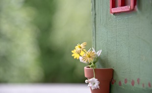 Un abri de jardin. Illustration.