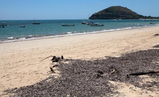 Les traces des émeutes de jeudi étaient toujours visibles vendredi sur l'île touristique de Nosy Be, à Madagascar, après le lynchage de trois hommes, dont un Français et un Franco-Italien, accusés par la foule de l'assassinat d'un enfant.