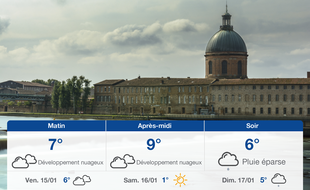 Météo Toulouse: Prévisions du jeudi 14 janvier 2021