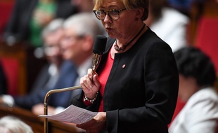 La députée Patricia Gallerneau.