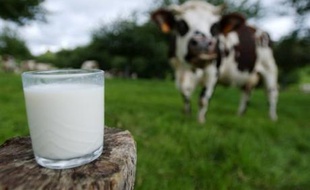 Lait, yaourts, fromages, crèmes, les consommateurs français doivent se préparer à payer encore plus cher les produits laitiers en 2008, dont les prix ont déjà progressé en moyenne de 4% en 2007, prédisent les industriels.