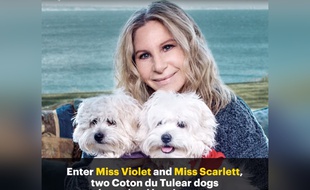 Barbara Streisand et ses deux chiens, Miss Violet et Miss Scarlett, conçus par clonage.