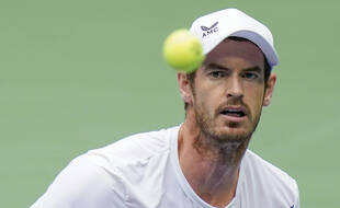 Andy Murray lors de son match contre Yoshihito Nishioka au premier tour de l'US Open, le 1er septembre 2020.