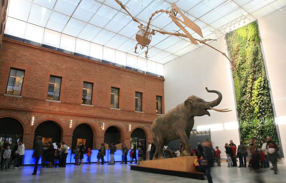 Toulouse Le Muséum, à la recherche des héritiers perdus de ses Indiana Jones