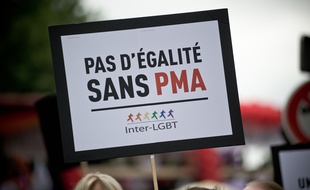 Une pancarte pro-PMA, lors de la Gay Pride, le 28 juin 2016.