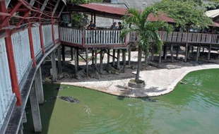 La ferme-zoo près de Bangkok, où une femme de 65 ans s'est suicidée le 15 septembre 2014 en se jetant dans un bassin rempli de crocodiles