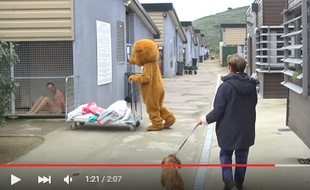 La dernière vidéo de Rémi Gaillard.