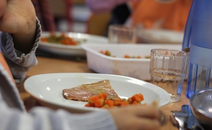 Les menus de substitution ont été supprimés depuis la rentrée à Châteaugiron.
